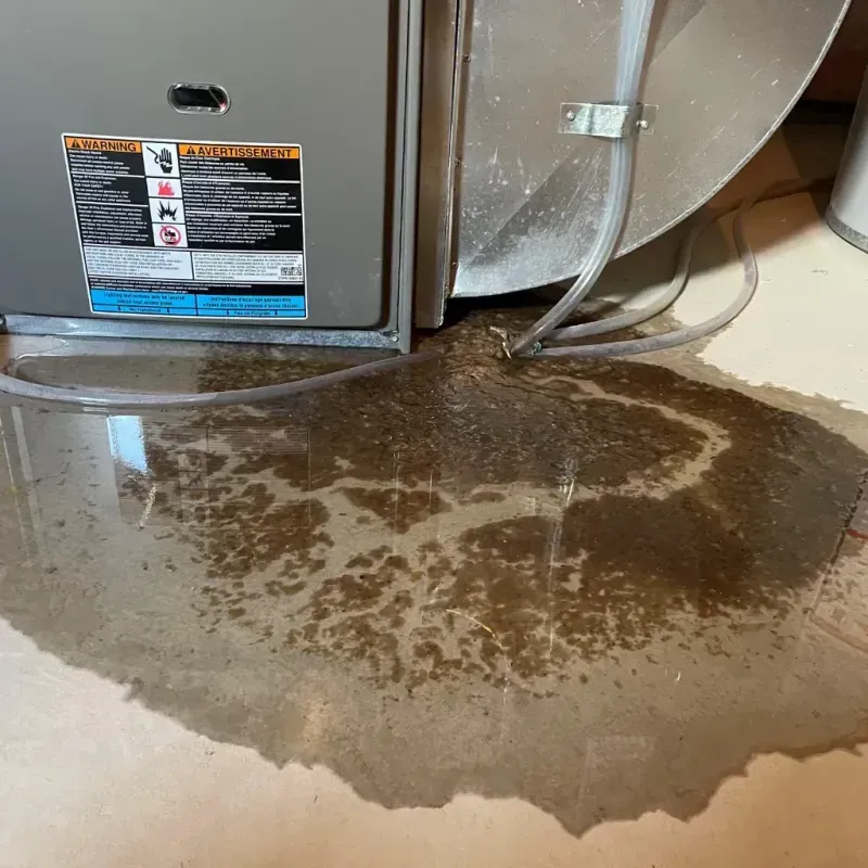 Appliance Leak Cleanup in McLean County, KY